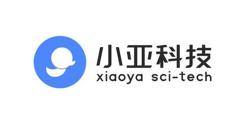 杭州小亚科技与亚树科技 探索科技创新的双生力量